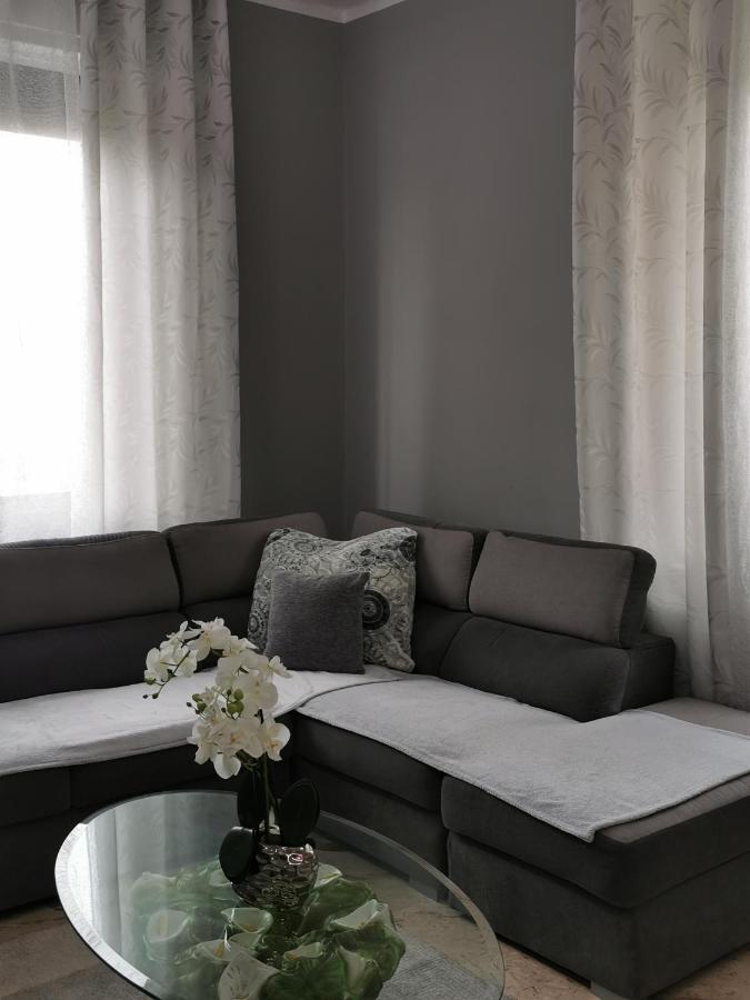 Splendido Appartamento In Zona Centrale Alessandria Exterior photo