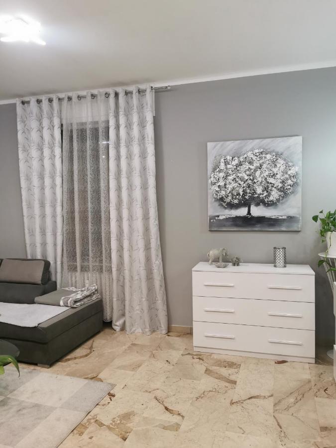 Splendido Appartamento In Zona Centrale Alessandria Exterior photo